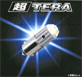 piaa�@TERA�|�W�V���j���O��