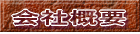 ЊTv
