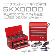 SKX0000