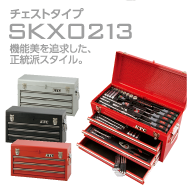 SKX0213